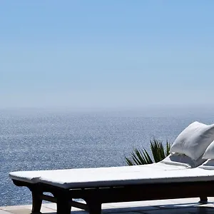 Kabak Avalon Фаралия